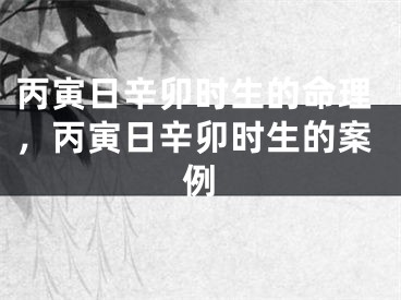 丙寅日辛卯时生的命理，丙寅日辛卯时生的案例