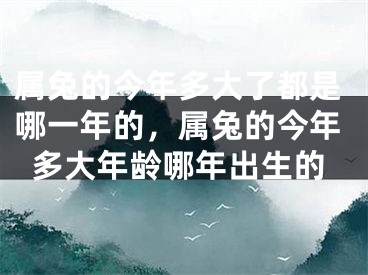 属兔的今年多大了都是哪一年的，属兔的今年多大年龄哪年出生的