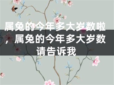 属兔的今年多大岁数啦，属兔的今年多大岁数请告诉我
