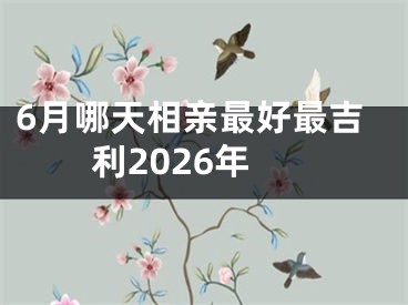 6月哪天相亲最好最吉利2026年