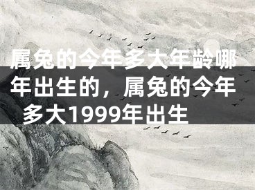 属兔的今年多大年龄哪年出生的，属兔的今年多大1999年出生
