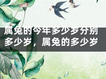 属兔的今年多少岁分别多少岁，属兔的多少岁