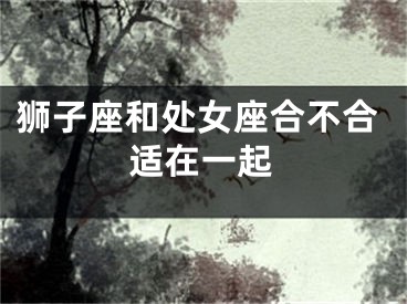 狮子座和处女座合不合适在一起