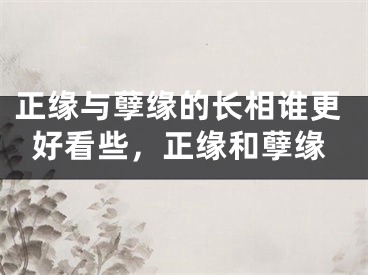 正缘与孽缘的长相谁更好看些，正缘和孽缘