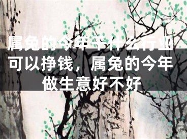属兔的今年干什么行业可以挣钱，属兔的今年做生意好不好