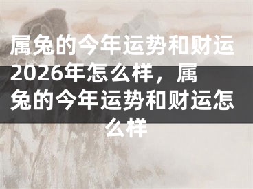 属兔的今年运势和财运2026年怎么样，属兔的今年运势和财运怎么样