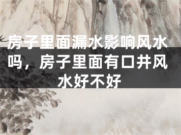 房子里面漏水影响风水吗,房子里面有口井风水好不好