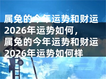 属兔的今年运势和财运2026年运势如何，属兔的今年运势和财运2026年运势如何样