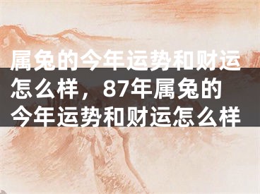 属兔的今年运势和财运怎么样，87年属兔的今年运势和财运怎么样