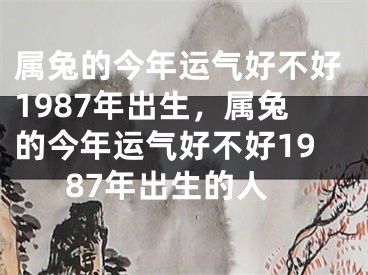属兔的今年运气好不好1987年出生，属兔的今年运气好不好1987年出生的人