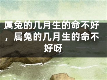 属兔的几月生的命不好，属兔的几月生的命不好呀