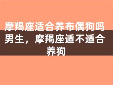 摩羯座适合养布偶狗吗男生，摩羯座适不适合养狗
