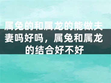 属兔的和属龙的能做夫妻吗好吗，属兔和属龙的结合好不好