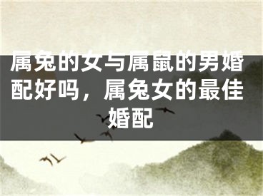 属兔的女与属鼠的男婚配好吗，属兔女的最佳婚配