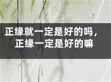 正缘就一定是好的吗，正缘一定是好的嘛