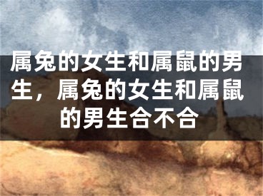 属兔的女生和属鼠的男生，属兔的女生和属鼠的男生合不合