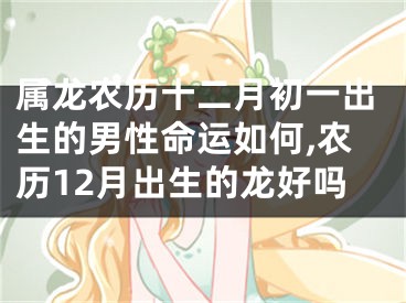 属龙农历十二月初一出生的男性命运如何,农历12月出生的龙好吗