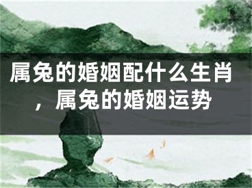 属兔的婚姻配什么生肖，属兔的婚姻运势