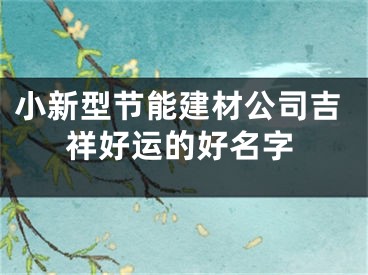 小新型节能建材公司吉祥好运的好名字