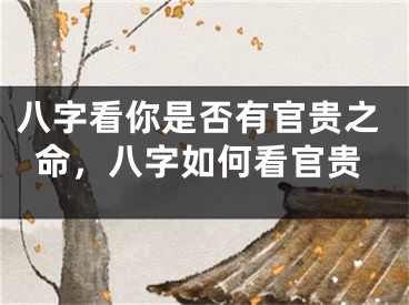 八字看你是否有官贵之命，八字如何看官贵
