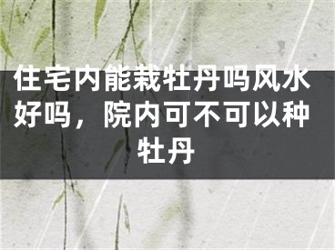 住宅内能栽牡丹吗风水好吗,院内可不可以种牡丹