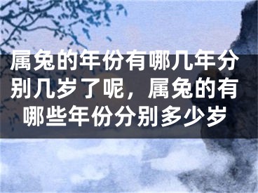 属兔的年份有哪几年分别几岁了呢，属兔的有哪些年份分别多少岁
