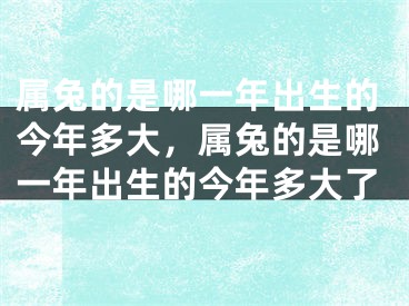属兔的是哪一年出生的今年多大，属兔的是哪一年出生的今年多大了
