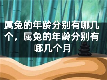 属兔的年龄分别有哪几个，属兔的年龄分别有哪几个月