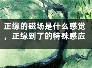 正缘的磁场是什么感觉,正缘到了的特殊感应