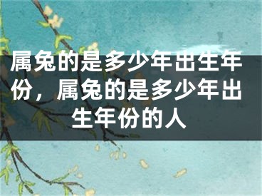 属兔的是多少年出生年份，属兔的是多少年出生年份的人
