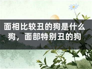 面相比较丑的狗是什么狗,面部特别丑的狗