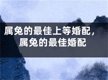 属兔的最佳上等婚配，属兔的最佳婚配