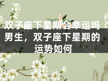 双子座下星期会幸运吗男生，双子座下星期的运势如何