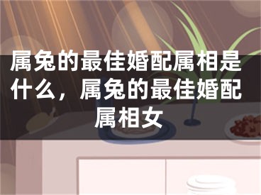 属兔的最佳婚配属相是什么，属兔的最佳婚配属相女