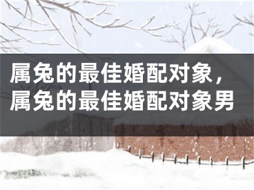 属兔的最佳婚配对象，属兔的最佳婚配对象男