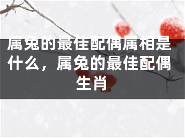 属兔的最佳配偶属相是什么，属兔的最佳配偶生肖