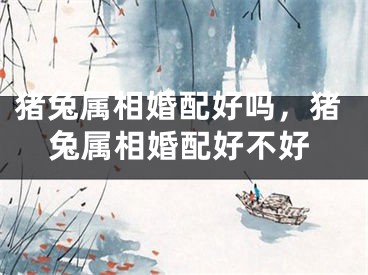 猪兔属相婚配好吗，猪兔属相婚配好不好