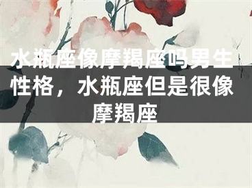 水瓶座像摩羯座吗男生性格，水瓶座但是很像摩羯座