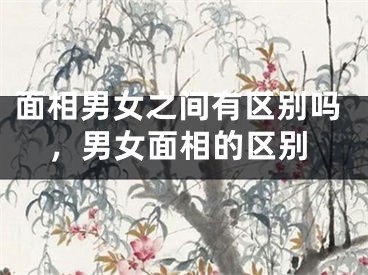 面相男女之间有区别吗，男女面相的区别