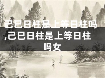 己巳日柱是上等日柱吗,己巳日柱是上等日柱吗女