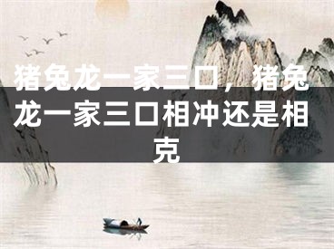猪兔龙一家三口,猪兔龙一家三口相冲还是相克