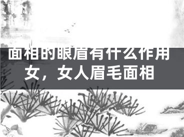 面相的眼眉有什么作用女，女人眉毛面相