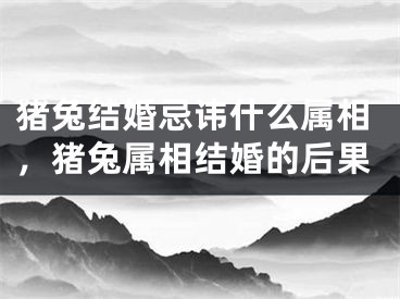 猪兔结婚忌讳什么属相,猪兔属相结婚的后果
