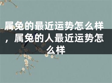 属兔的最近运势怎么样，属兔的人最近运势怎么样