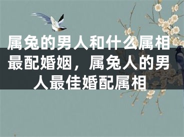 属兔的男人和什么属相最配婚姻，属兔人的男人最佳婚配属相