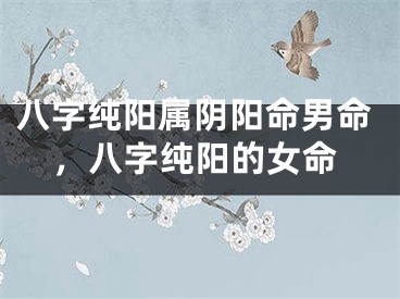 八字纯阳属阴阳命男命，八字纯阳的女命