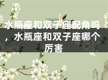 水瓶座和双子座配角吗，水瓶座和双子座哪个厉害