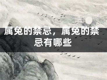 属兔的禁忌，属兔的禁忌有哪些