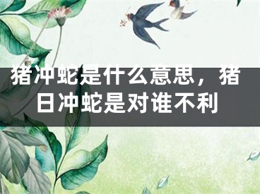 猪冲蛇是什么意思,猪日冲蛇是对谁不利