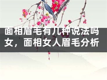 面相眉毛有几种说法吗女，面相女人眉毛分析